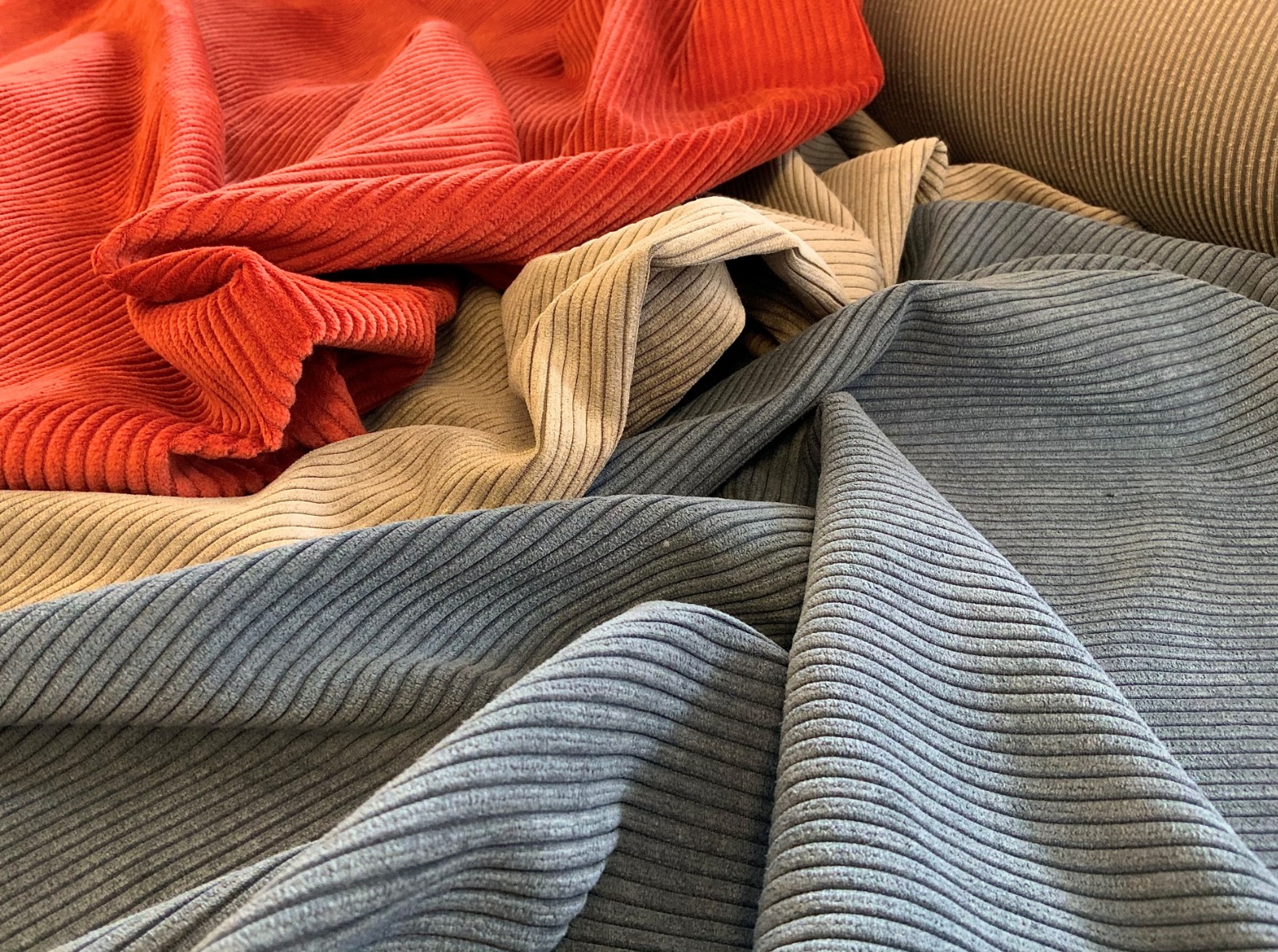 Corduroy